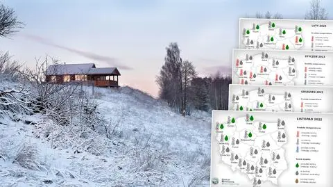 Jaka będzie reszta jesieni i zima w Polsce. Czy na Boże Narodzenie spadnie śnieg