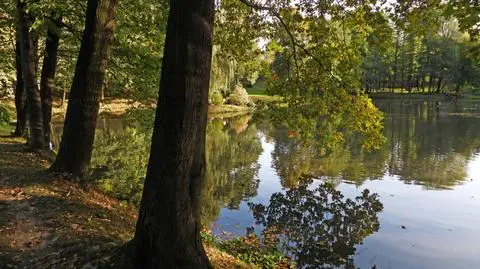Jesień nabiera kolorów