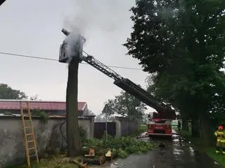 Interwencje po burzach w Wodzisławiu Śląskim