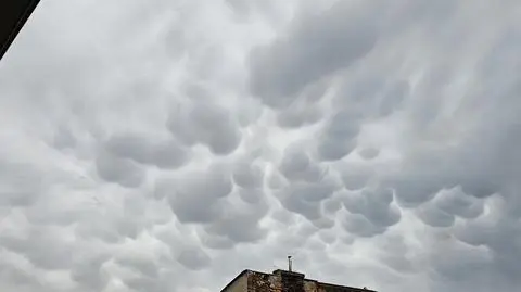 Mammatusy zawisły nad Poznaniem