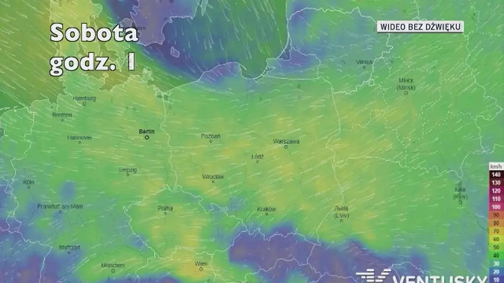 Prognozowane porywy wiatru na najbliższe dni (Ventusky