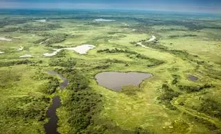 Pantanal