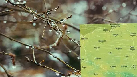Tydzień pełen chmur, z opadami deszczu. Powróci silny wiatr