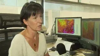 Upały, ulewy i burze. To nas czeka jeszcze przez jakiś czas ["Fakty po południu"]
