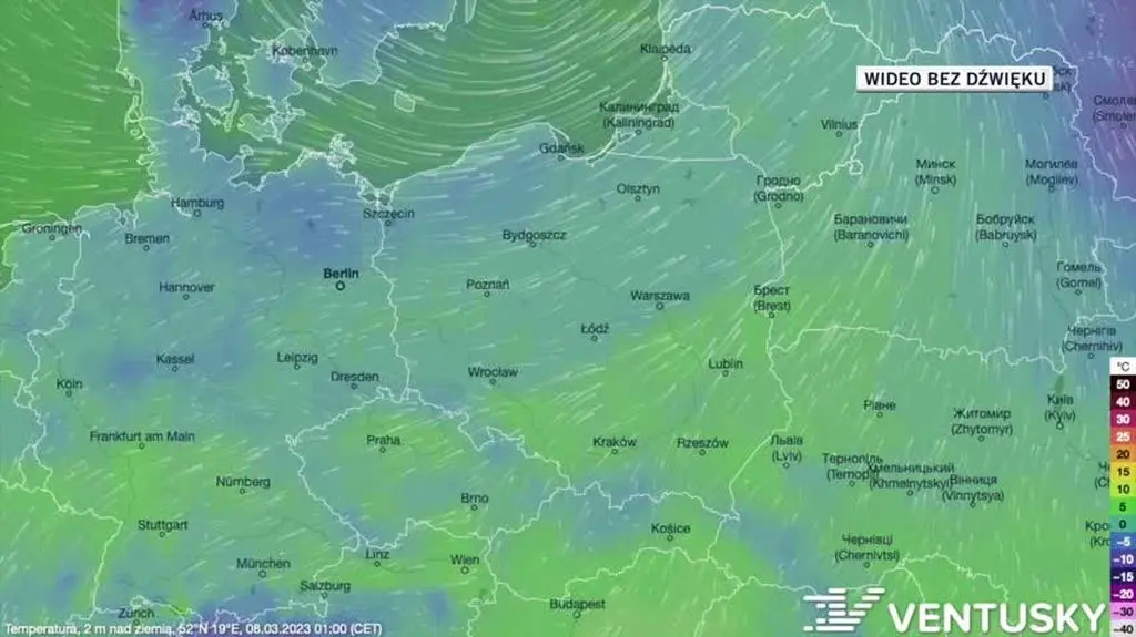 Prognozowana temperatura w kolejnych dniach