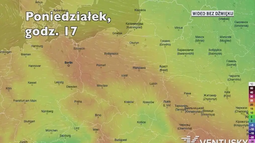 Prognozowana temperatura w najbliższych dniach (Ventusky