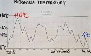 Prognoza temperatury dla Warszawy do 14.02