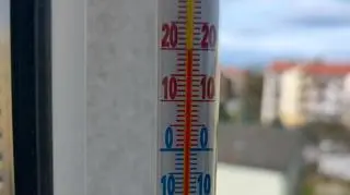 Wiosenna aura w Zamościu lubelskie