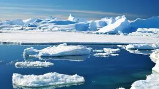 Antarktyda nie opiera się zmianom klimatu