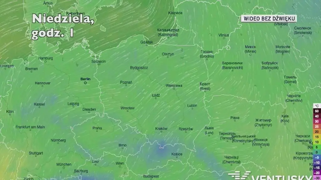 Prognozowana temperatura w najbliższych dniach (Ventusky