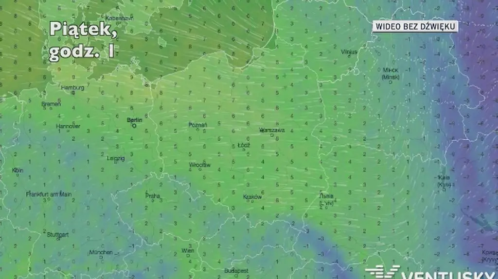 Temperatura w następnych dniach