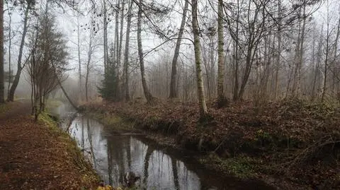 Dzień pod znakiem chmur, do 12 stopni