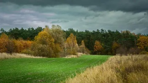 Chłodno, pochmurno, deszczowo i wietrznie