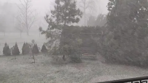 Uszkodzone dachy, połamane drzewa. Kilkaset interwencji po wichurach i śnieżycach