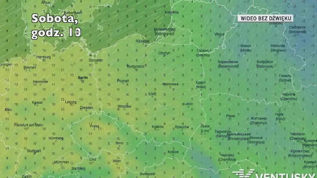 Prognozowana temperatura w kolejnych dniach (Ventusky