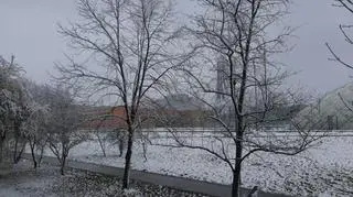 Mielec Z ostatniej chwili  Zima w Kwietniu Odczuw-5