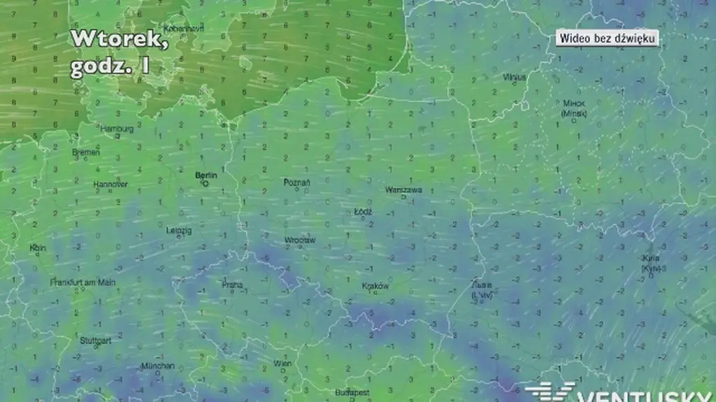 Prognozowana temperatura w następnych dniach