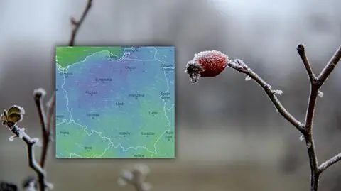 Pierwsze dni grudnia z mrozem i bez opadów