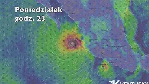 Prognozowana prędkość porywów wiatru huraganu Willa (Ventusky