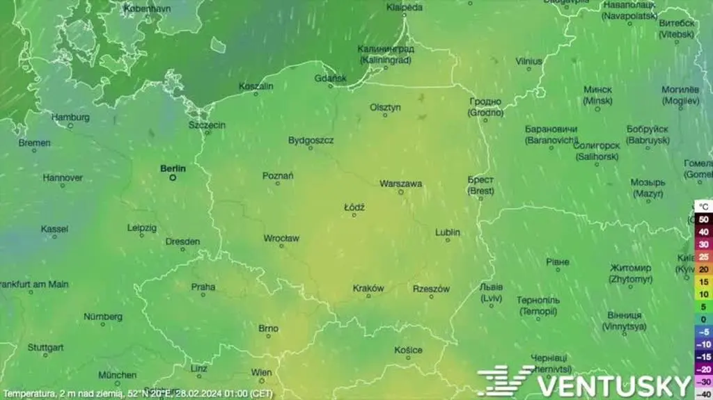Prognozowana temperatura w kolejnych dniach