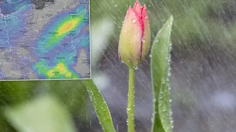 Bez szans na słoneczną aurę. Będzie chłodno, deszczowo i wietrznie 