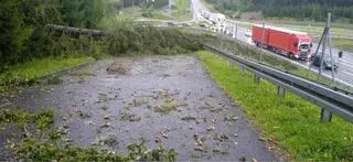Zalania i połamane drzewa w Ustroniu