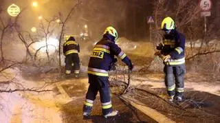 Tomasz Wasilewski o silnym wietrze