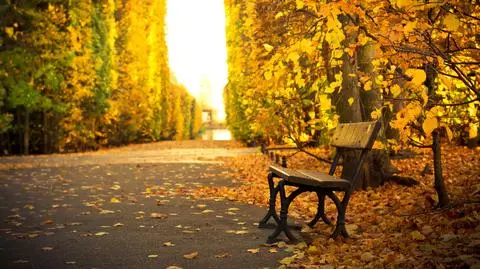shutterstock_117008656