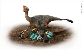 Owiraptor - wizualizacja