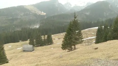 Śnieg w lutym leżał w Zakopanem zaledwie kilka dni