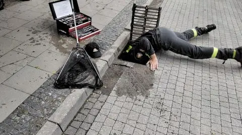 Kaczki wpadły do kanału burzowego. Radzyńscy strażacy ruszyli im z pomocą