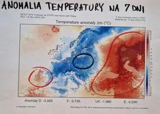 Anomalia temperatury nad Europą na kolejne 7 dni