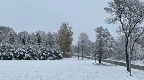 Spadł śnieg na Mazowszu 