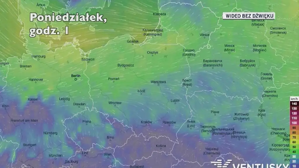 Prognozowane porywy wiatru w kolejnych dniach (Ventusky