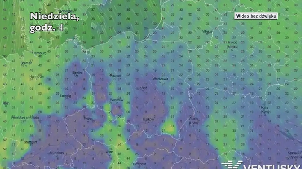 Prognozowane porywy wiatru w najbliższych dniach