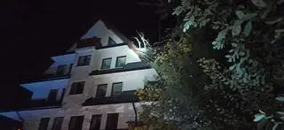 Pochylone drzewo zawisło nad domem