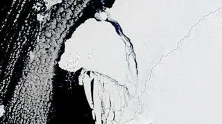 Góra lodowa A-81. Zdjęcie z 24 stycznia 2023. Zbliżenie