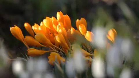 Słonecznie i ciepło