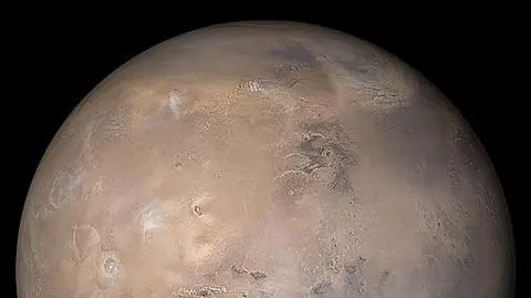 Naukowcy wyhodowali koniczynę na podłożu przypominającym marsjańską glebę