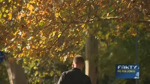 Tegoroczny listopad rozpoczął się wyjątkowo ciepło ("Fakty po południu")