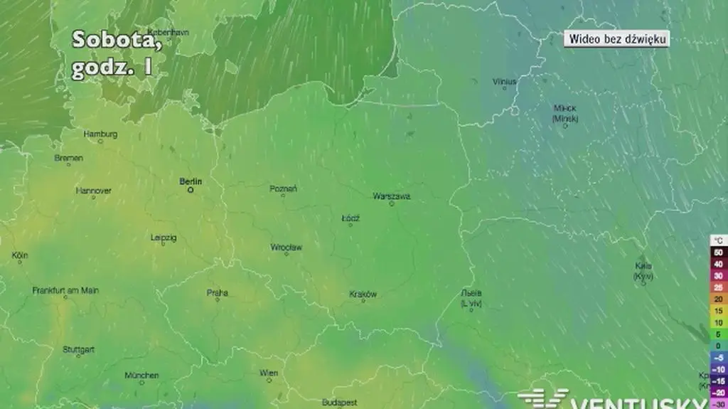 Prognozowana temperatura w następnych dniach (Ventusky