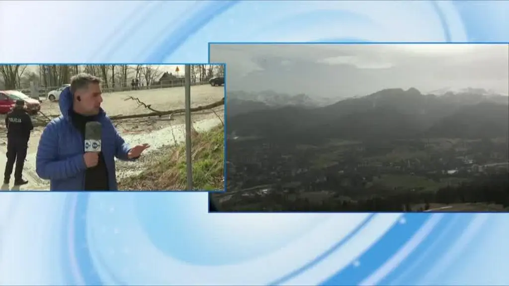 Drzewo przewróciło się na dziecko w Zakopanem