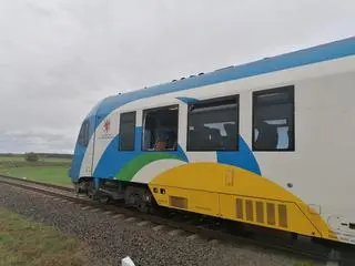 Drzewo przewróciło się na pociąg w Baszewicach