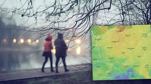 Czekają nas dni z porywistym wiatrem
