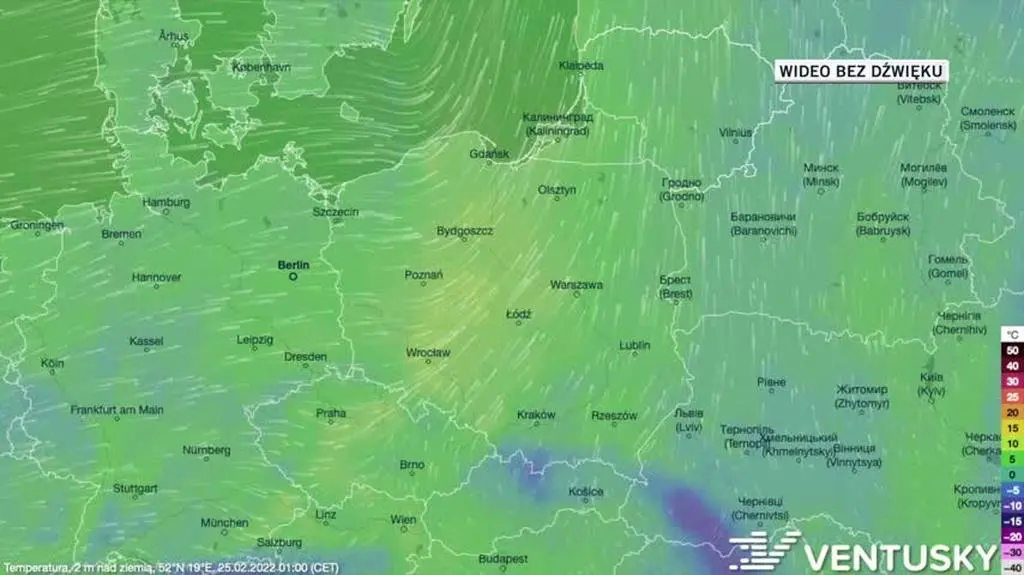 Prognozowana temperatura w dniach 25