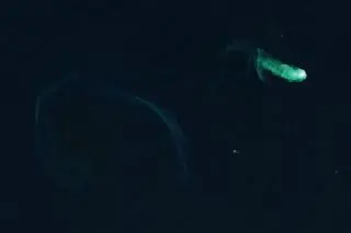 Erupcja podwodnego wulkanu w japońskim archipelagu