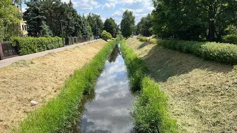Początek tygodnia pod znakiem chmur i wiatru