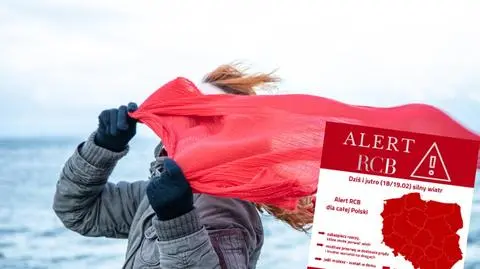Alert RCB dla całej Polski. "Możliwe przerwy w dostawie prądu"