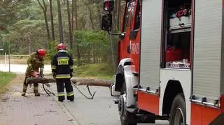 Sztorm na Bałtyku i skutki silnego wiatru w Ustce - Zdjęcia 07.10.2023r