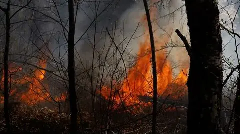 Zagrożenie pożarami w lasach